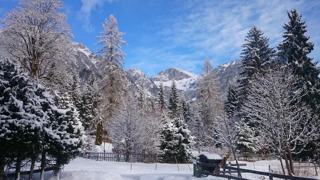 Pension Hofweyer Ramsau am Dachstein Exterior photo